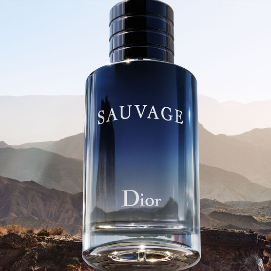 Perfume Dior Sauvage Eau 100ML