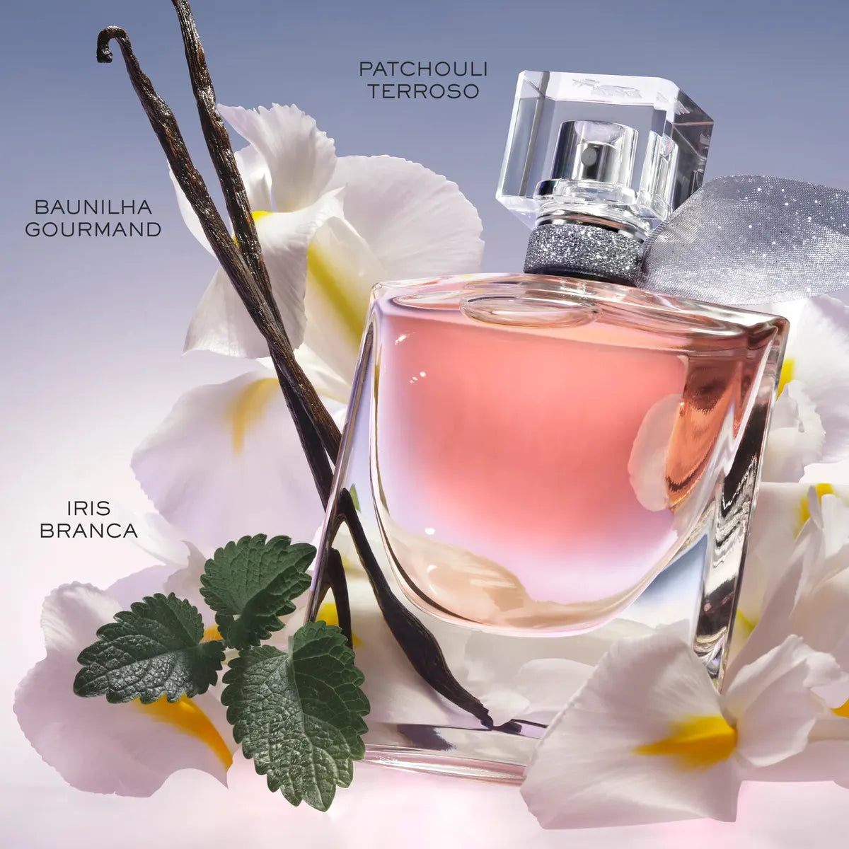 Perfume La Vie Est Belle Eau de Parfum 100ML